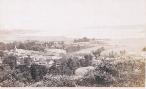 MP1002 Brading haven
