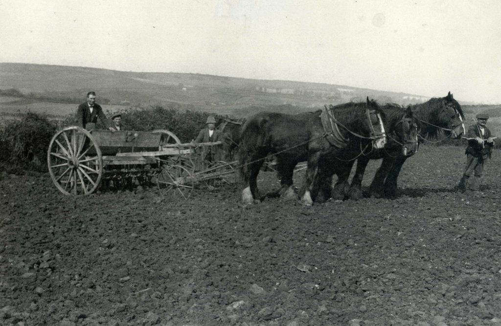 Farming scene